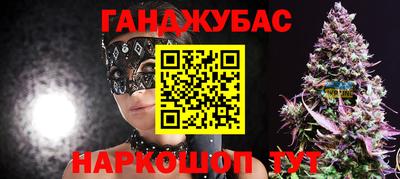 стаф Дубна