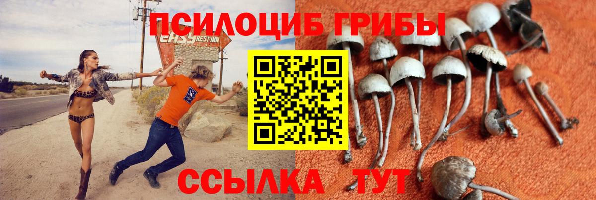 COCAIN  ГАШ  МЕТАМФЕТАМИН  Меф кристаллы  МАРИХУАНА  Мирный  NBOMe  Вход с VPN  ЭКСТАЗИ 